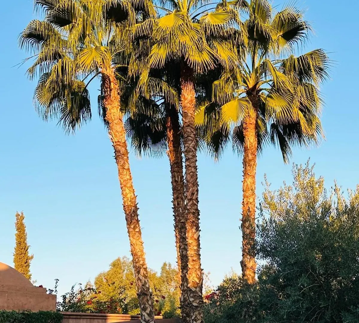 Villa Magtafa Marrakesh